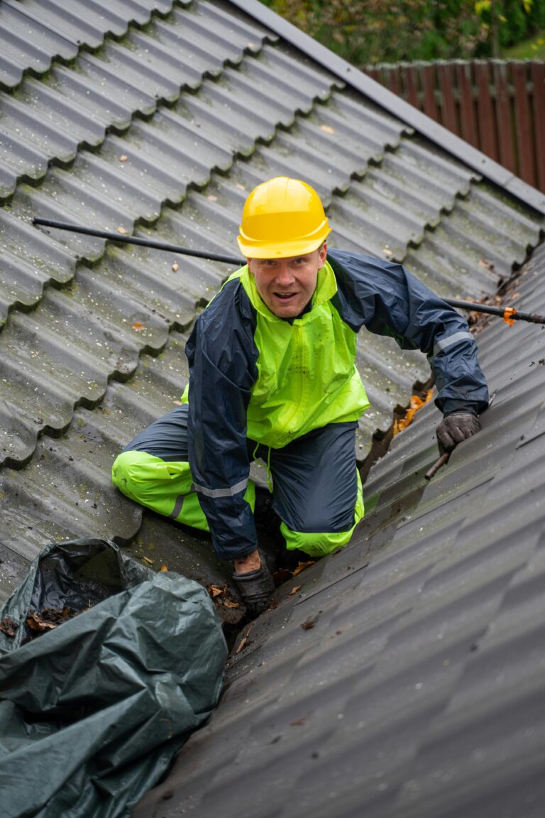 Roof Cleaning