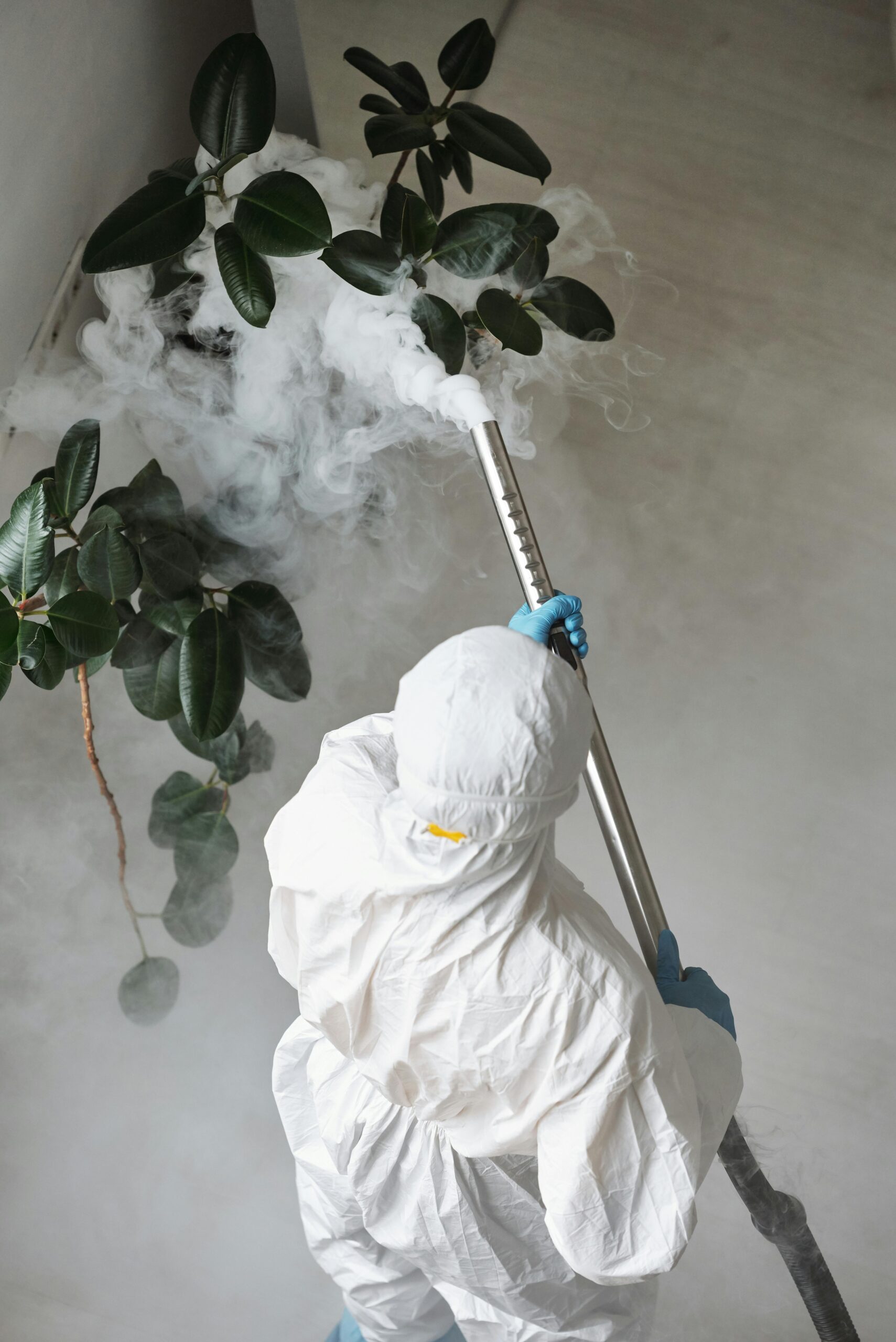 cleaning services