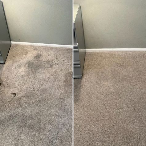 carpet spot cleaner