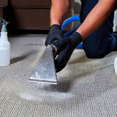 carpet and upholstery cleaner​, carpet and upholstery cleaner in Taupo, carpet and upholstery cleaner near me 