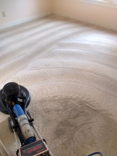 carpet and upholstery cleaner​, carpet and upholstery cleaner in Taupo, carpet and upholstery cleaner in Taupo