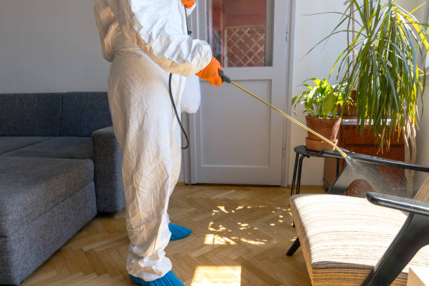 Best pest control ,Best pest control in taupo,Best pest control services in taupo