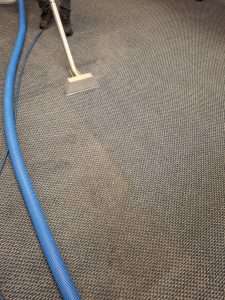  Commercial Cleaning Services Hamilton, office Cleaning is hamilton,Affordable cleaners Hamilton NZ, Office cleaners near me Hamilton, Commercial cleaning Hamilton prices,Industrial cleaning Hamilton companies
