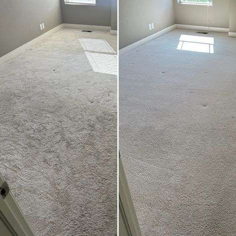  Commercial Cleaning Services Hamilton, office Cleaning is hamilton,Affordable cleaners Hamilton NZ, Office cleaners near me Hamilton, Commercial cleaning Hamilton prices,Industrial cleaning Hamilton companies
